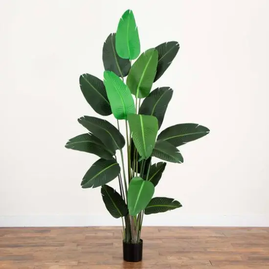 8ft. Potted Travelers Palm Tree {9}