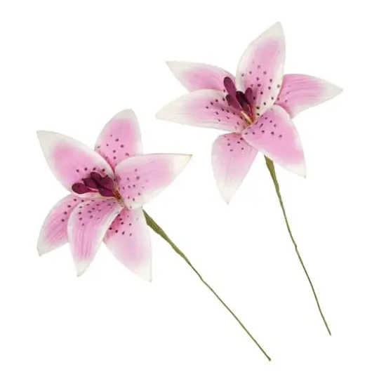 Pink Tiger Lily Paper Flowers by Recollections&trade;, 6ct. {1}