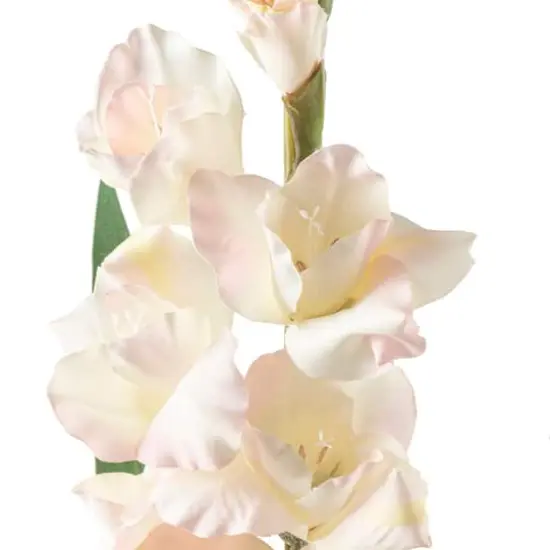 White Gladiolus Stem by Ashland&reg; {3}