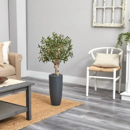 3.5ft. Olive Tree in Gray Cylinder Planter {4}