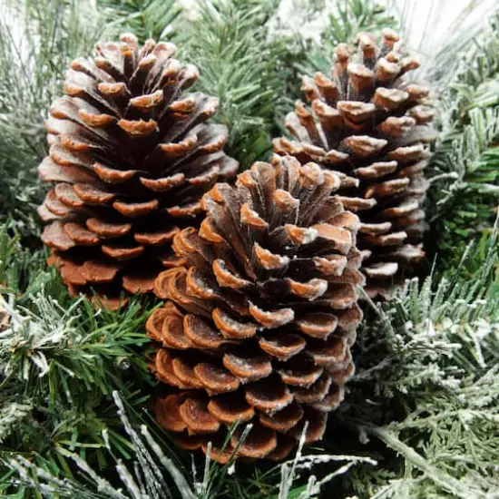 3ft. Pre-Lit Snowfall Creek Mailbox Swag {3}