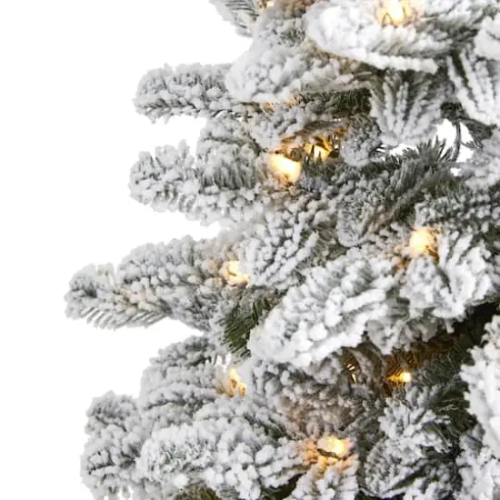 3ft. Pre-Lit Flocked North Carolina Fir Artificial Christmas Tree with Warm White Lights {4}