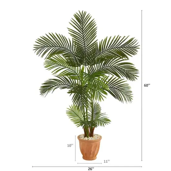 5ft. Areca Palm Tree in Terracotta Planter {3}