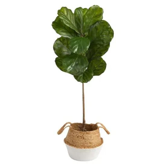 4ft. Fiddle Leaf Artificial Tree in Boho Chic Handmade Cotton & Jute White Woven Planter UV Resistant (Indoor/Outdoor) {1}