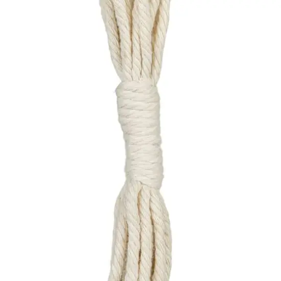 Hello Honey&reg; 57" Natural Cotton Macrame Plant Hanger {7}