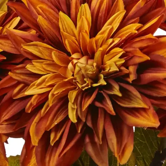 17" Orange Dahlia Silk Arrangement with Glass Vase {3}