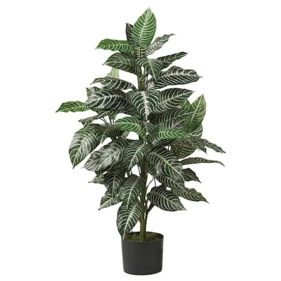 3ft. Potted Zebra Plant {1}