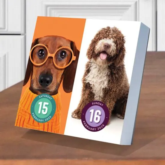 TF Publishing 2025 Dog A Day Daily Desktop Calendar {6}