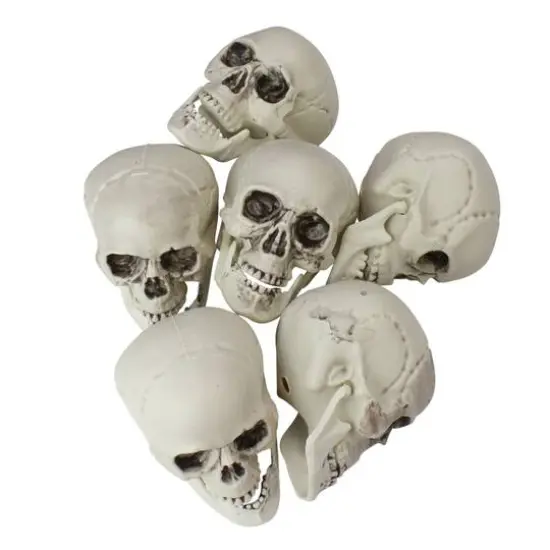 3.5'' Skull Head Halloween Decorations, 6ct. {1}