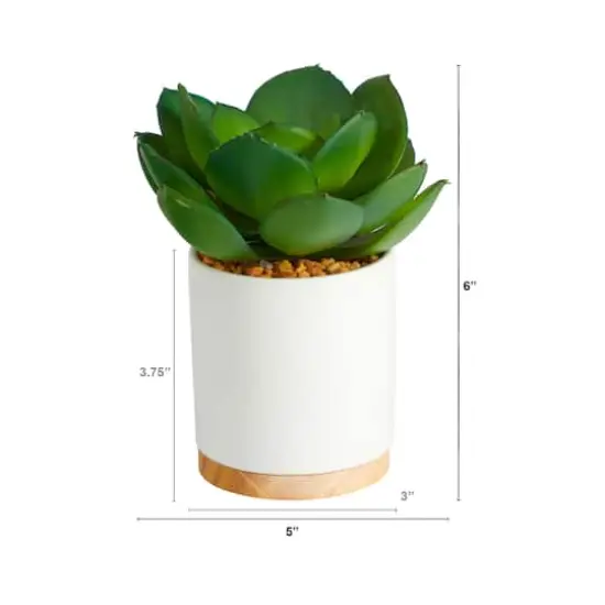 6'' Succulent Artificial Plant in White Ceramic Planter {3}