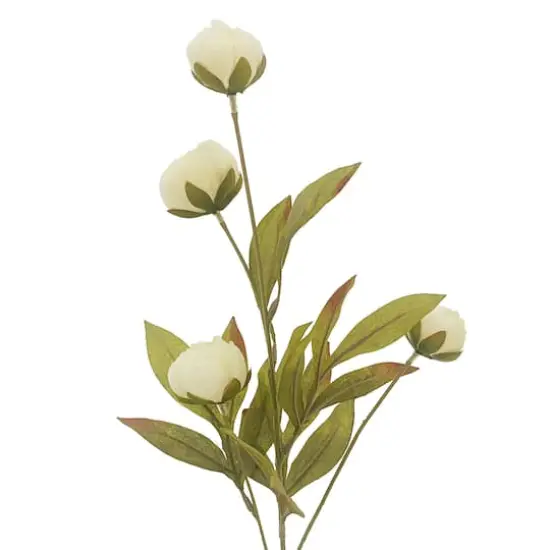 Cream Peony Stem by Ashland&reg; {3}