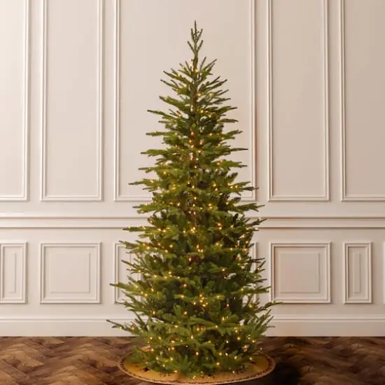 7.5 ft. Pre-Lit Frasier Grande Slim Artificial Christmas Tree, Clear Lights {4}