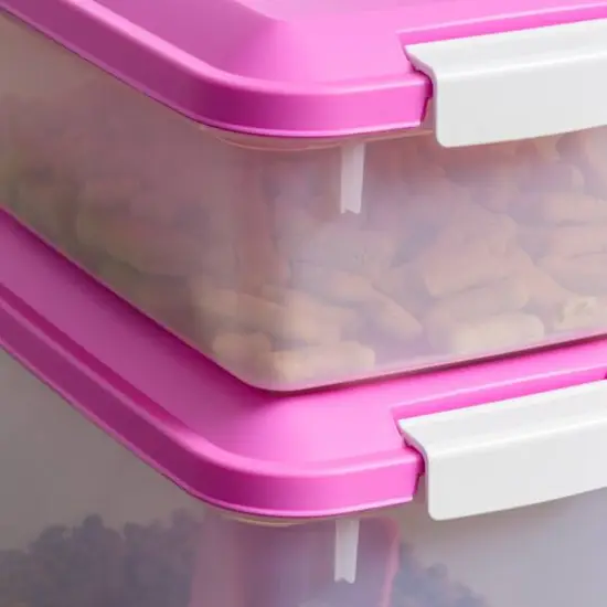 Iris&reg; Pink Airtight Container Set with Buckle Lids {9}