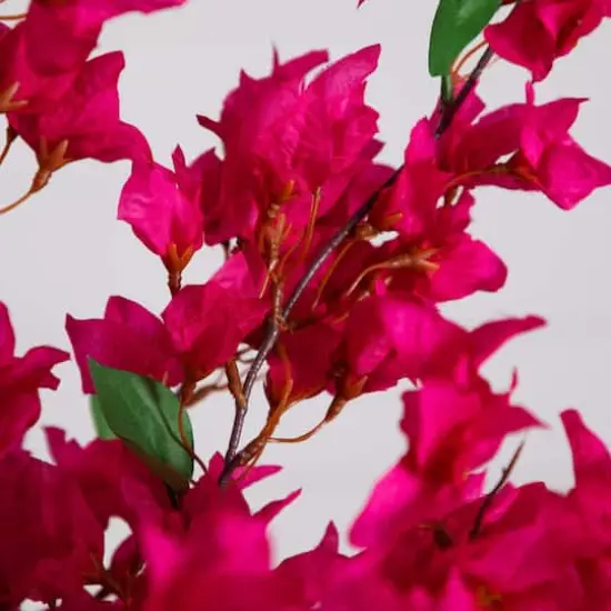2.5ft. Pink Bougainvillea Arrangement in Vase {5}