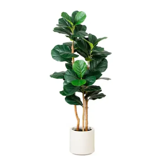 4ft. Fiddle Leaf Tree in Decorative White Planter {1}