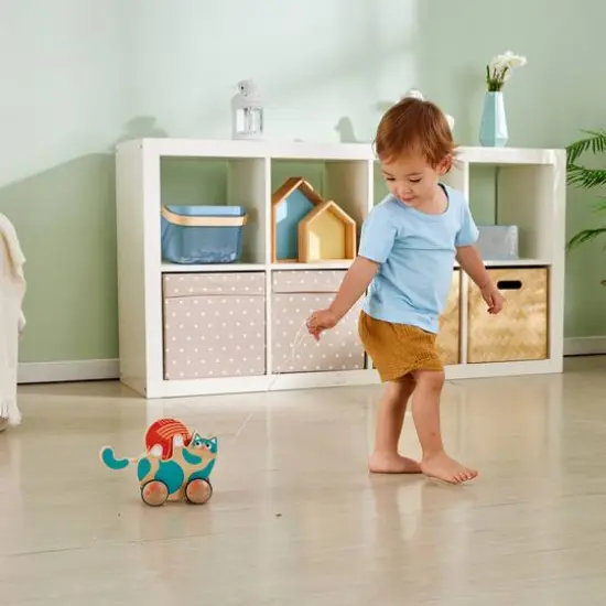Hape Walk-A-Long Roll & Rattle Kitten Wooden Toddler Toy {6}