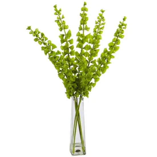 2.5ft. Bells of Ireland Arrangement in Pyramid Glass Vase {1}