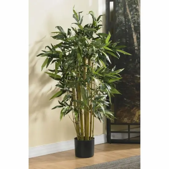 3ft. Potted Biggy Bamboo Silk Tree {3}