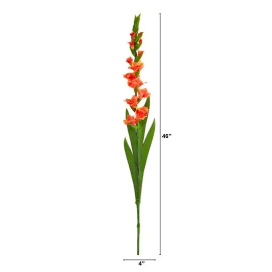 Salmon Gladiolus Flower Stems, 3ct. {3}
