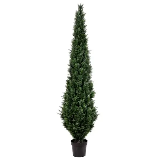 8ft. Potted Cedar Tree {1}