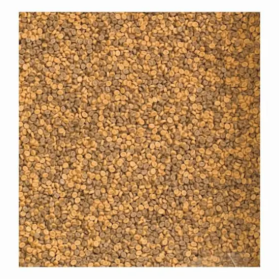 Kidfetti, Sand-Colored {1}