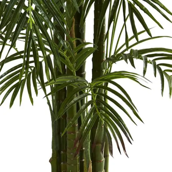 6.5ft. Potted Areca Palm {4}