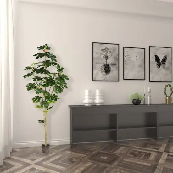 6ft. Potted Fig Tree {5}