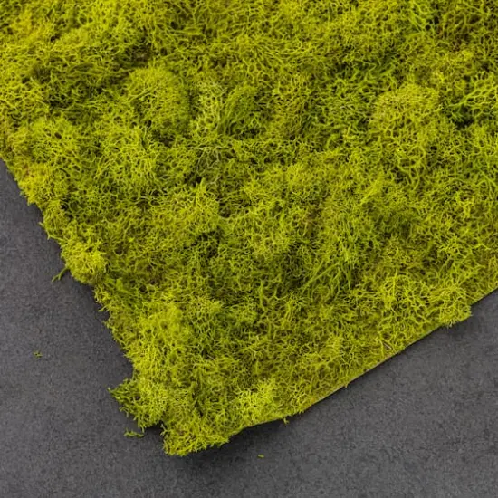 SuperMoss&reg; Instant Green&reg; Sticky All-Purpose Moss Mat {4}