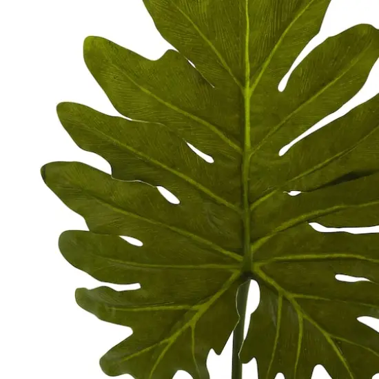 Selloum Philo Single Leaf Stem, 12ct. {3}