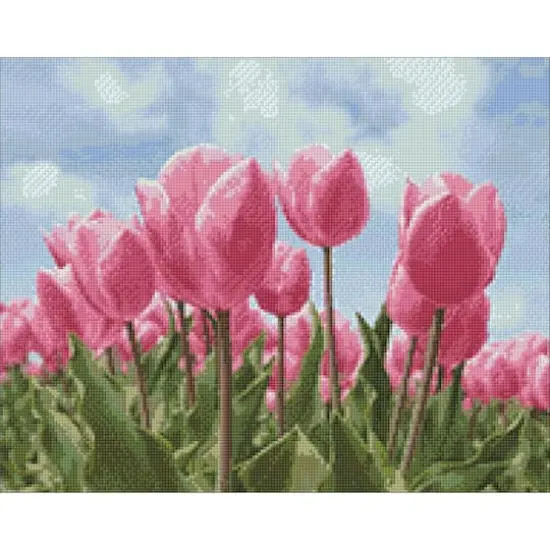 Wizardi Diamond Painting Kit Sky And Tulips {1}