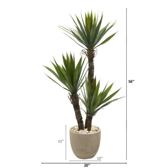 4.5ft. Yucca Tree in Sandstone Planter {3}