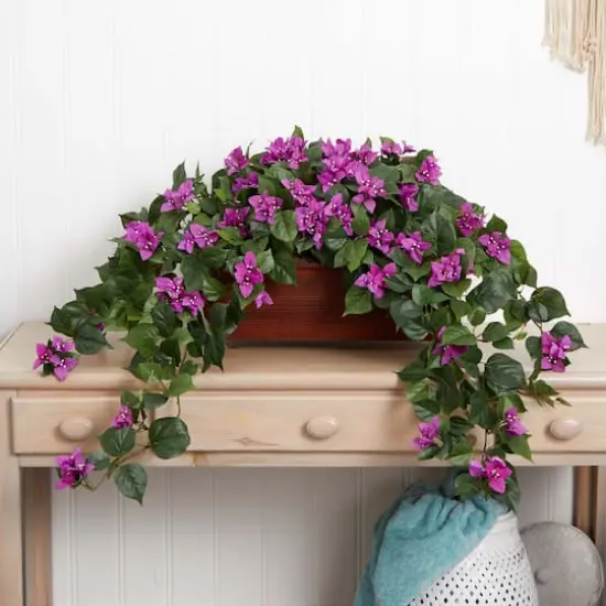 18" Bougainvillea Plant in Decorative Planter {5}