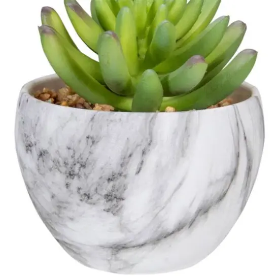4.25" Green Succulent in Faux Marble Pot {5}