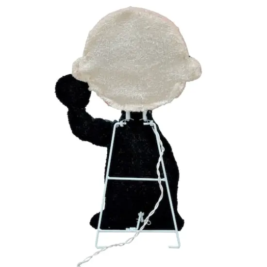 18" LED Peanuts Charlie Brown Bones Yard Art {4}