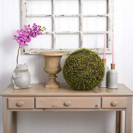 2.5ft. Mohlenbechia Ball in Black Tower Vase {10}