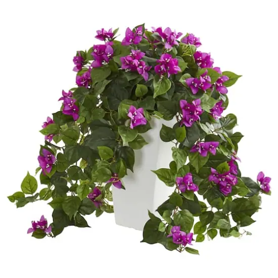 23" Purple Bougainvillea in White Tower Planter {1}