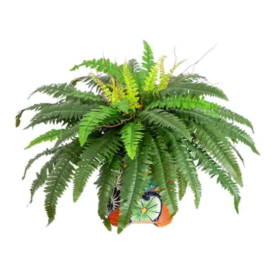 21" Artificial Boston Fern in Handmade Mexican Talavera Ceramic Planter {1}
