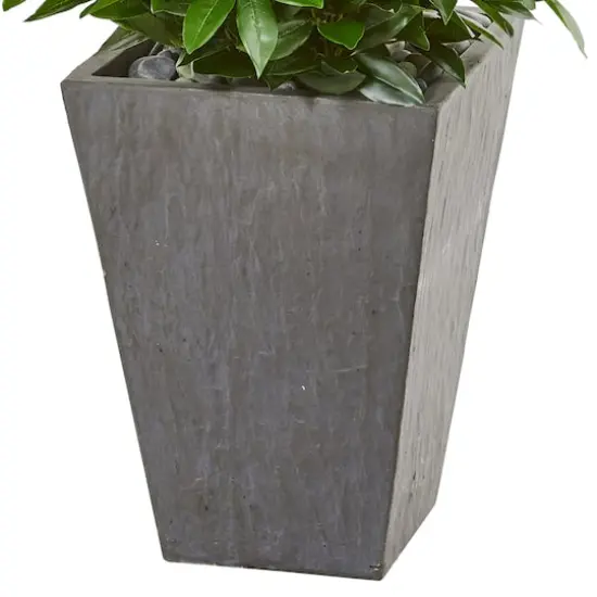 4.7ft. UV Resistant Bay Leaf Cone Topiary Tree in Slate Planter {4}