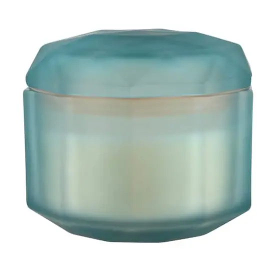 13oz. Scented Jar Candle with Lid by Ashland&reg; Citron and Sand {1}