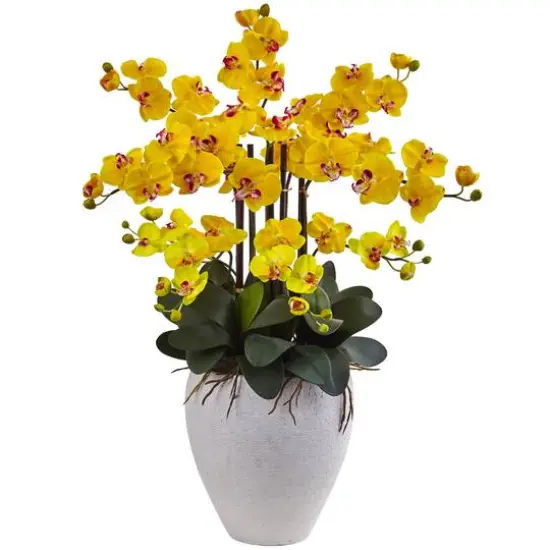 3ft. Moth Orchid Arrangement in White Planter Yellow {2}