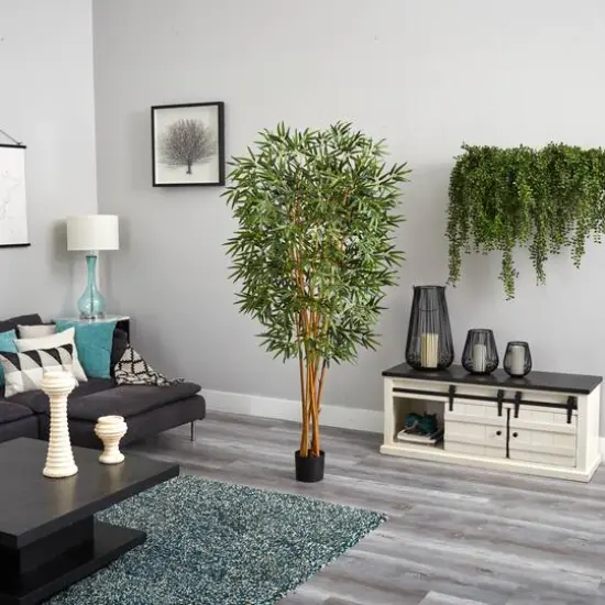 6ft. Potted Curved Bamboo Tree {9}