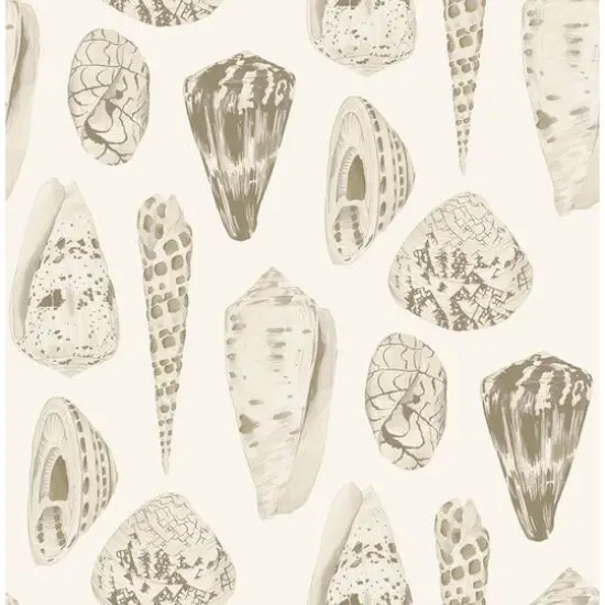 Scalamandre Cream Coquina Peel & Stick Wallpaper {1}