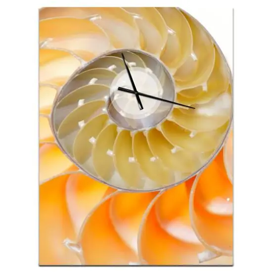Designart 'Isolated Nautilus Shell Modern Rectangular Wall Clock {1}