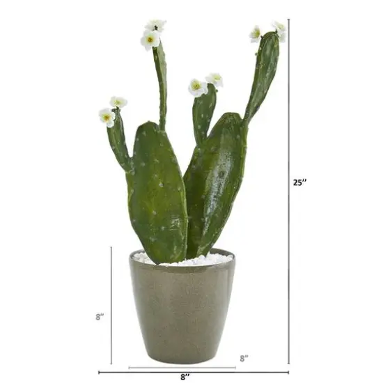 2ft. Flowering Cactus in Green Planter {3}
