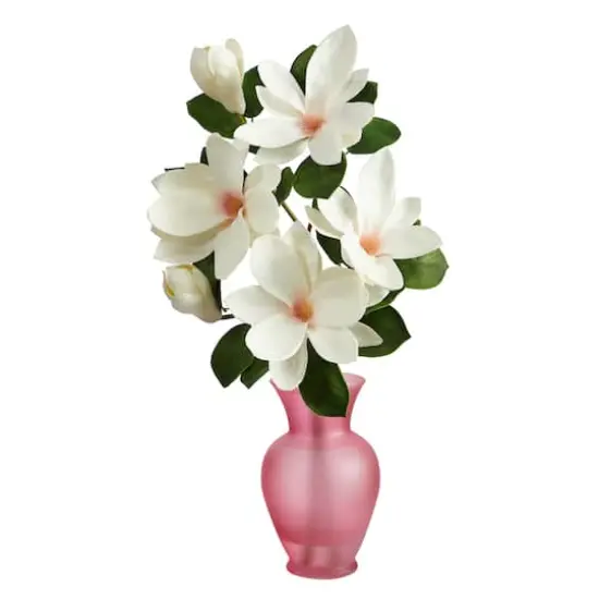 24" White Japanese Magnolia Arrangement in Rose Vase {1}