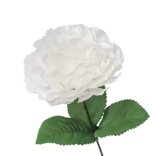 18" Cream Carnation Bush by Ashland&reg; {4}