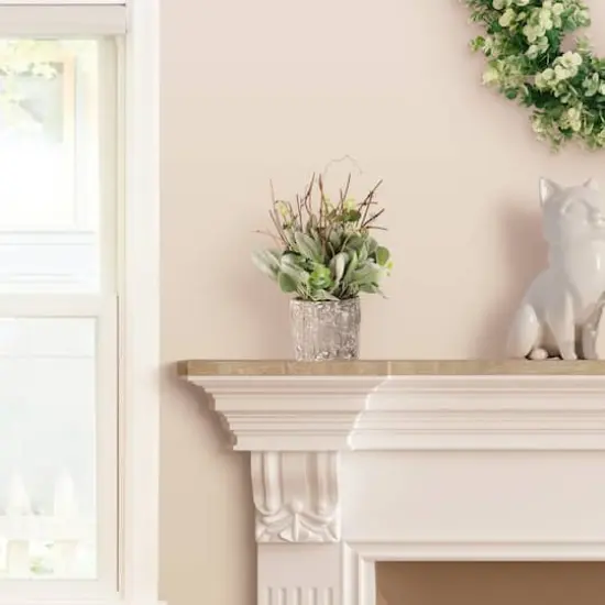 11" Lamb's Ear in Cement Pot {5}