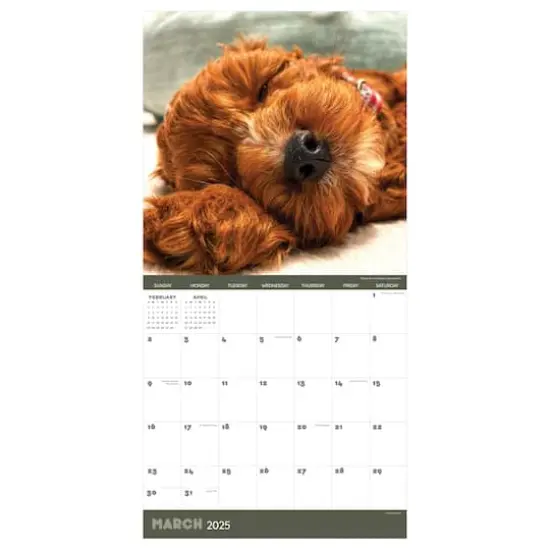 TF Publishing 2025 Dog Dreams Wall Calendar {6}