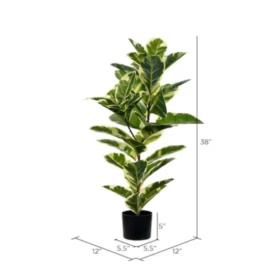 3ft. Potted Artificial Dumb Cane Tree {4}