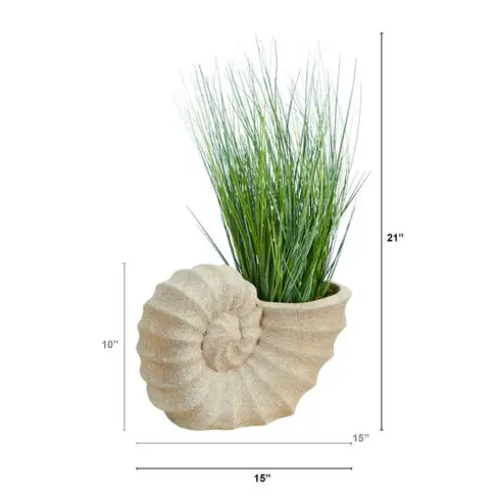 21" Onion Grass Plant in Shell-Shaped Planter {3}